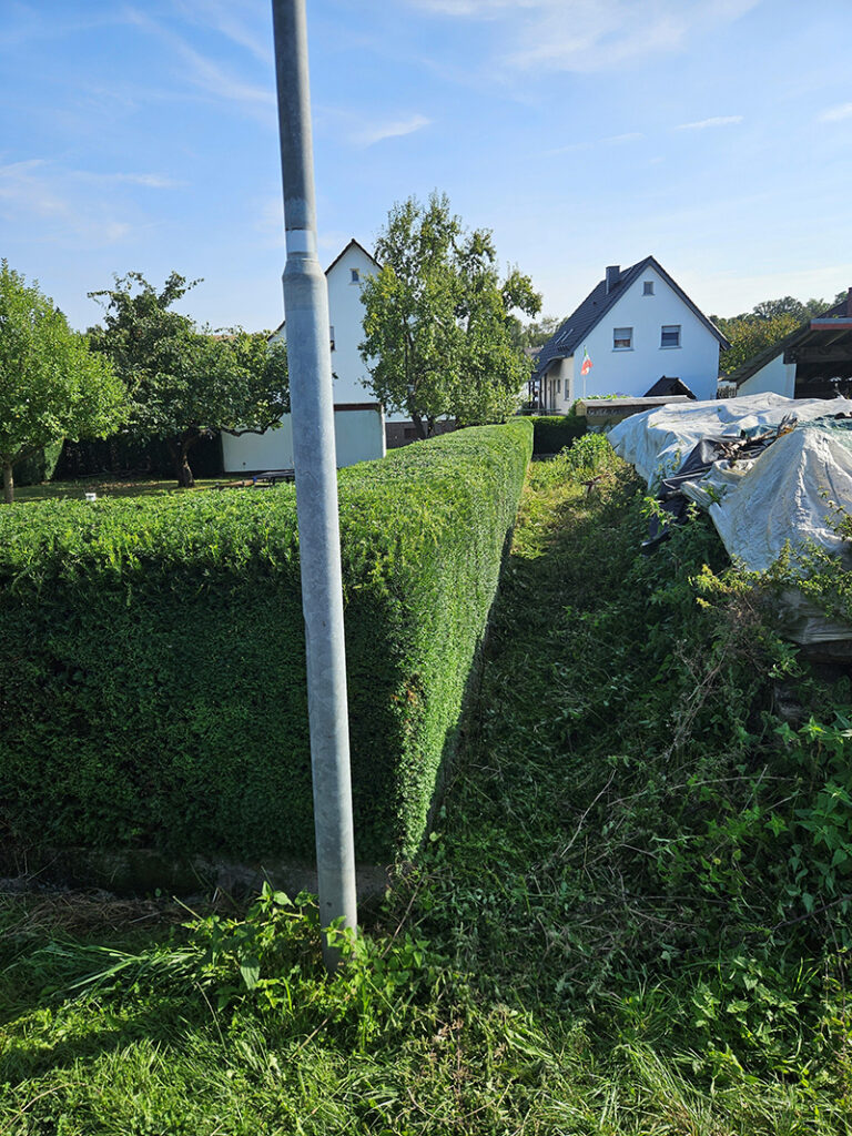 Rasen und Stein Pflasterarbeiten Rasen verlegen, Rollrasen Garten und Landschaftsbau Galabau Terrassen Gartenpflege Zaunbau Reinigung Palisaden Baumpflege Baum fällen Baumfällen Carports Teichpflege und Reinigung Limburg Frankfurt Villmar Bad Camberg Diez und Umgebung